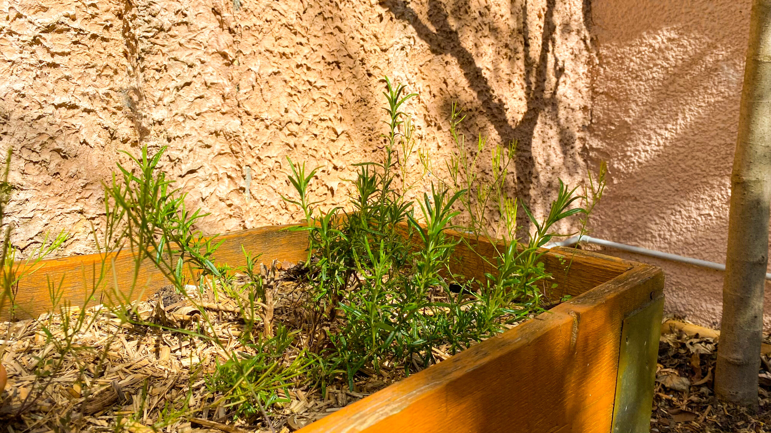 Potager Potager