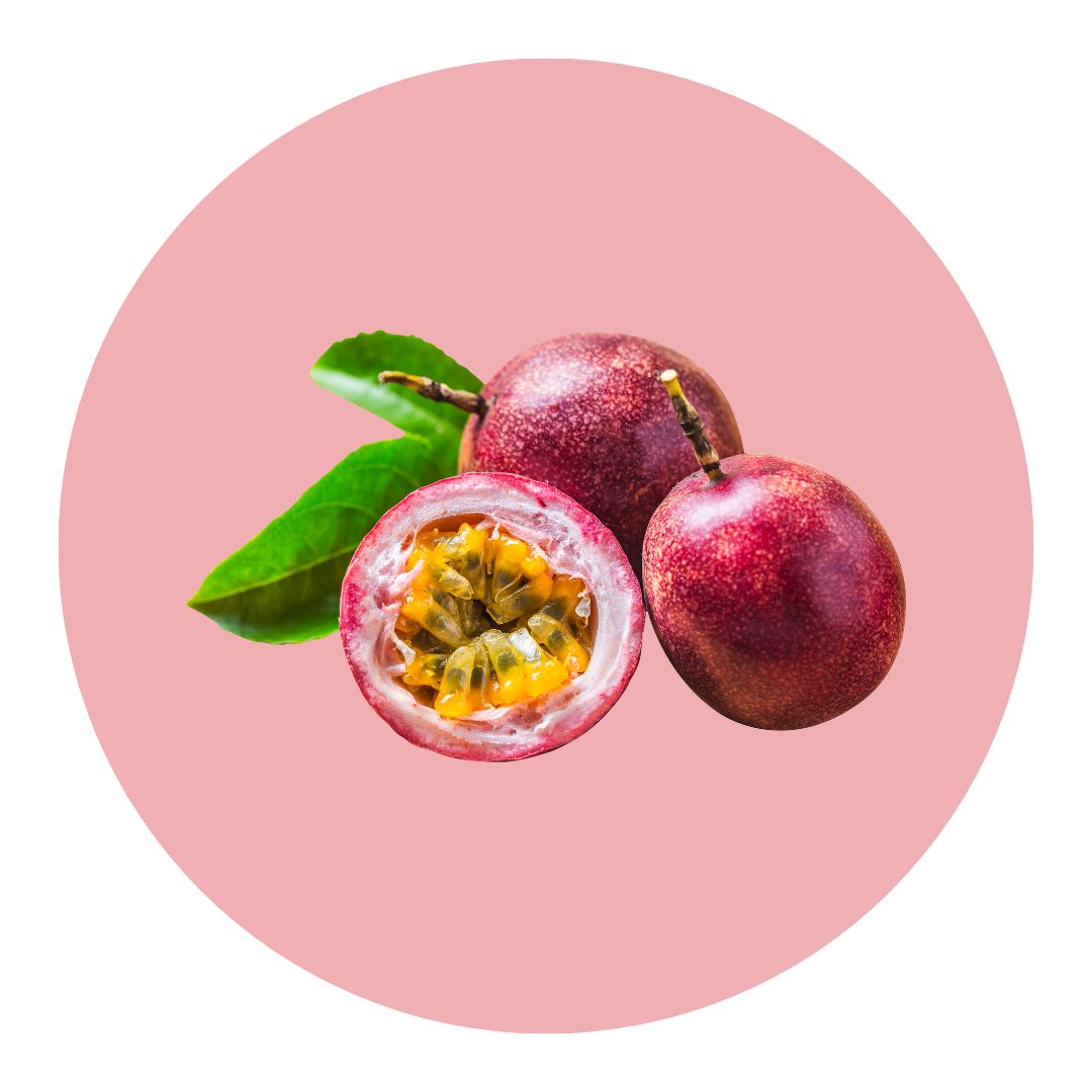 portrait équipe (1)