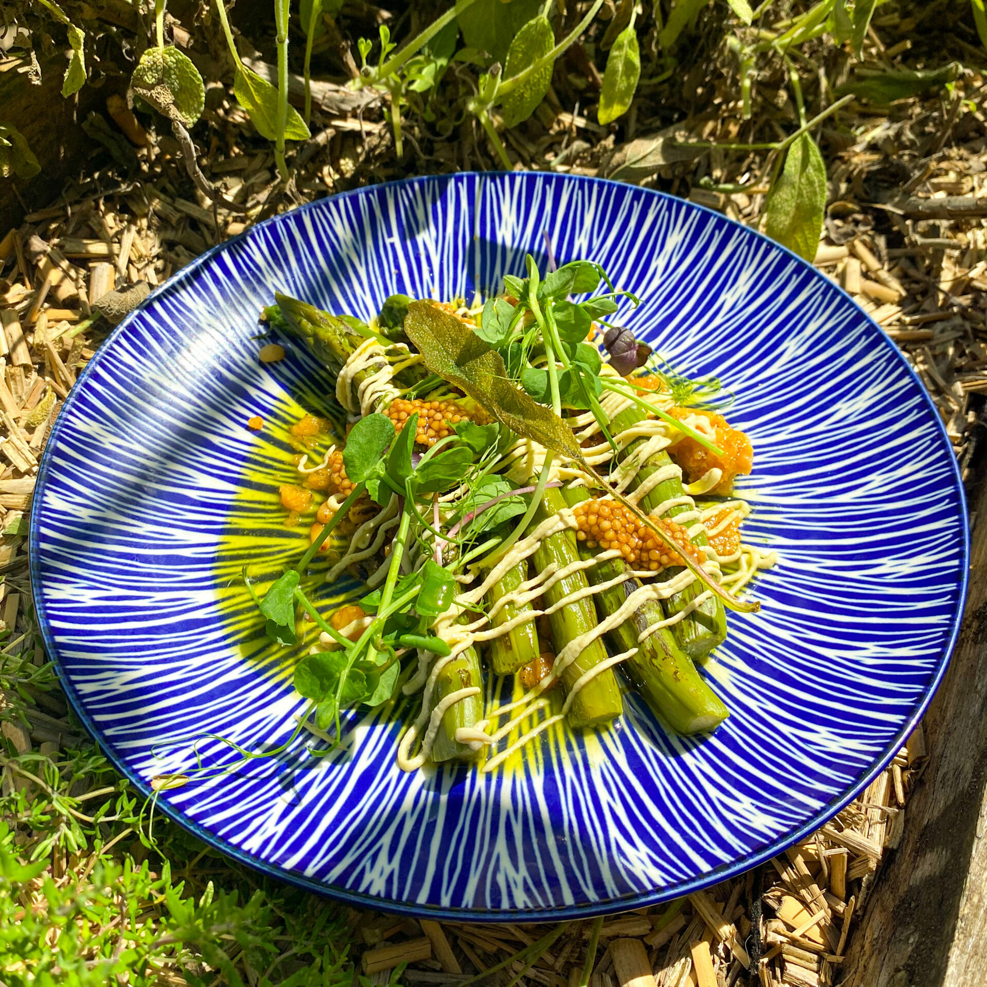 Asperges vertes croquantes Asperges vertes croquantes